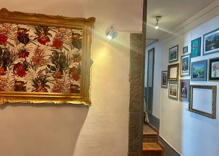 홈스테이 Casa 1808 New